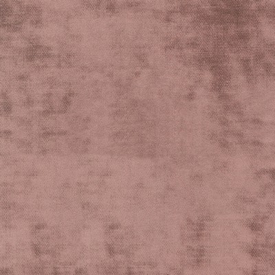 Silver State Cloud Nine Blush